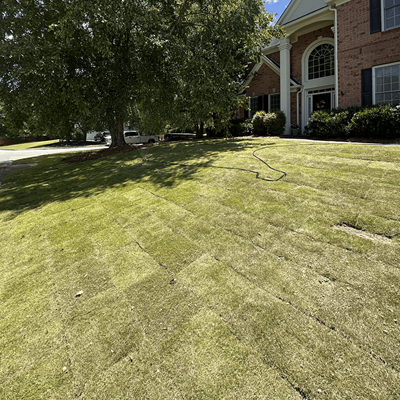 Sod Dressing
